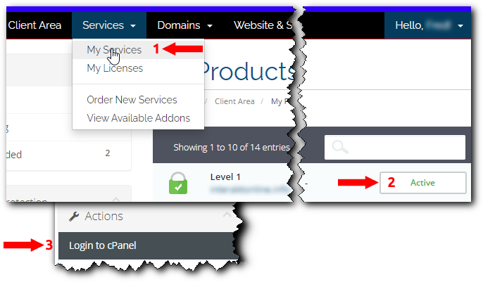 ExelWebs Client Area