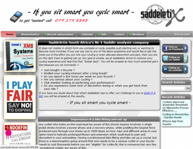 Saddeletix
